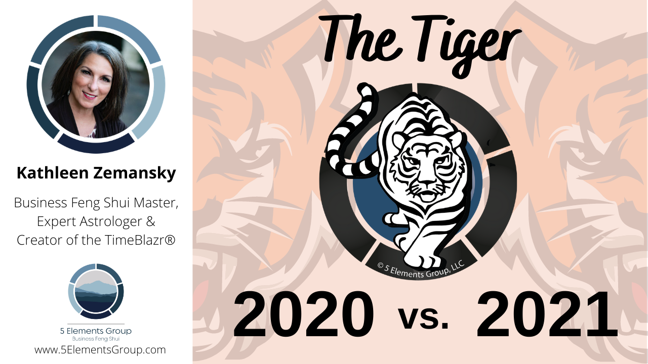 tiger-animal-forecast